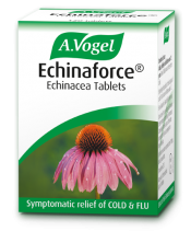 az echinacea eltávolítja a parazitákat milyen férgek jönnek piszkos kezekből