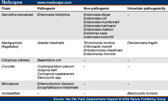 Giardia treatment guidelines