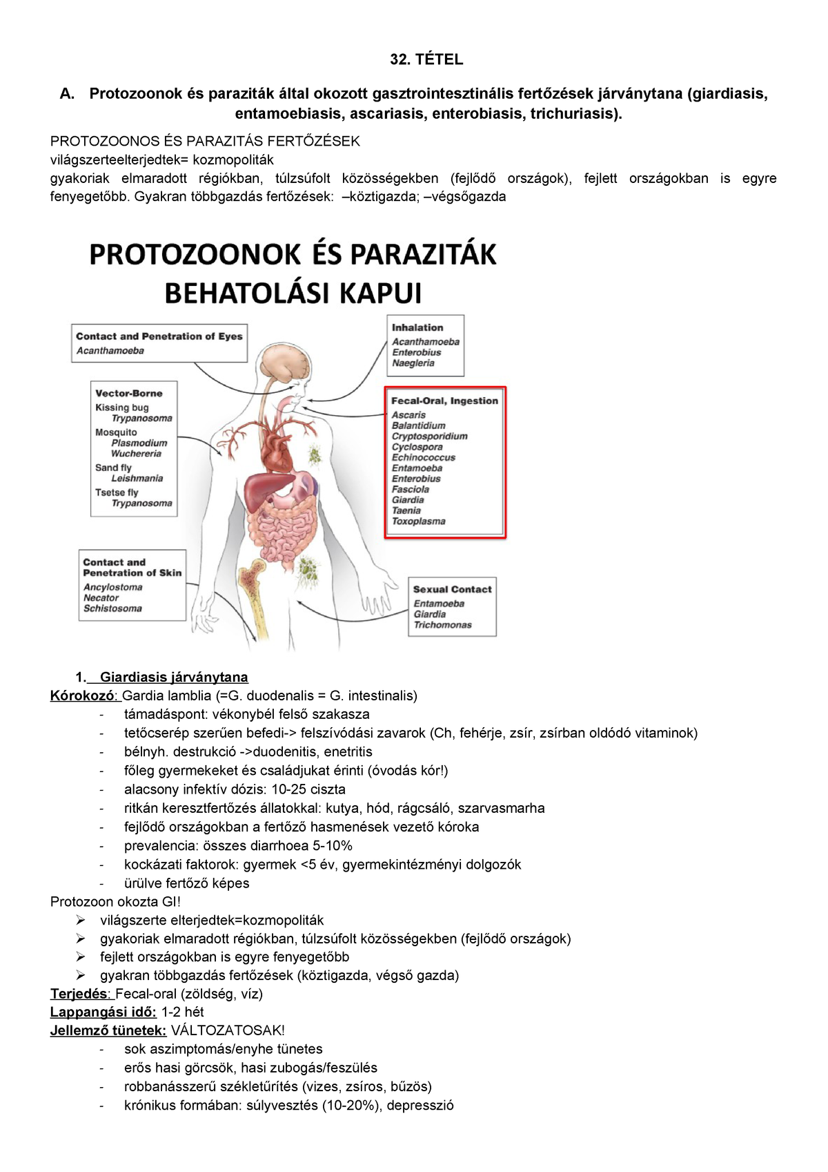 helmintofóbia jelentése