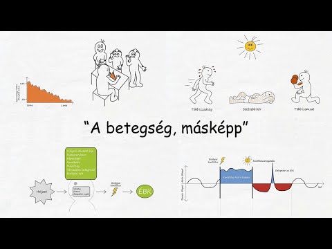 parazita kezelési szakaszai