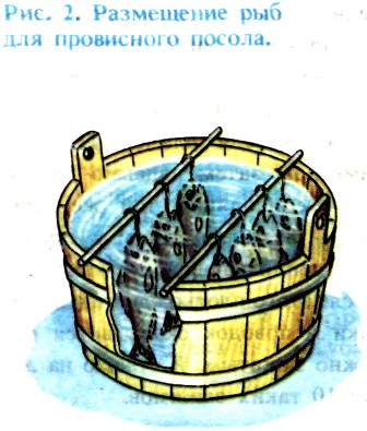 féregtabletták jók)