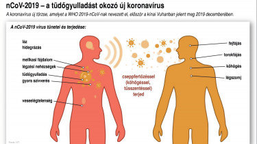 helminták fertőzés megelőzése