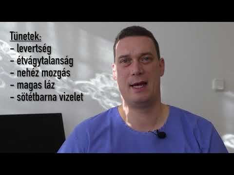 a helminták okozta betegségek)