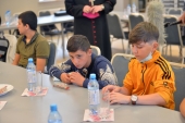 Helminták macskákban. Helminták felnőttek kezelésében, Féregkezelési kérdés és válasz