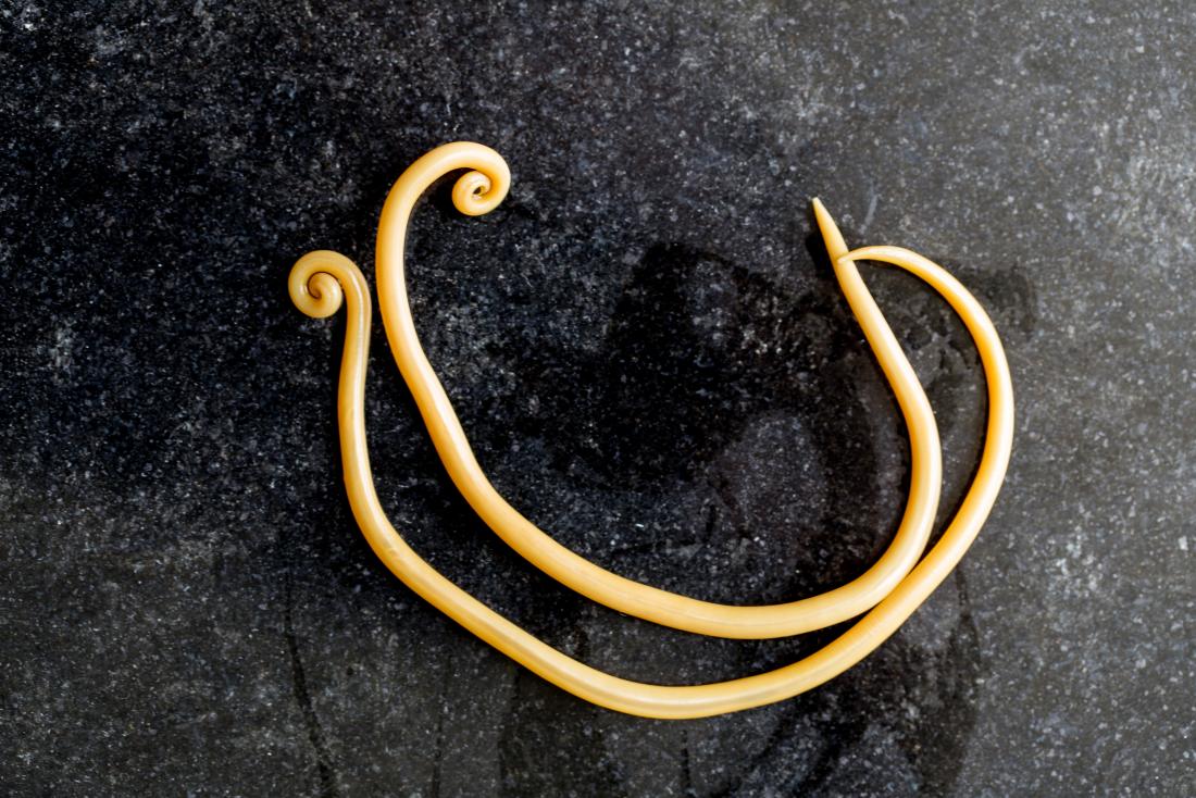 Az Ascaris lárvák átterjednek