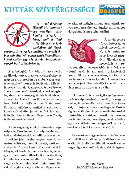 a helminták megelőzése nyáron
