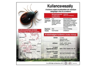 férgek emberben tünetek kezelésének megelőzése