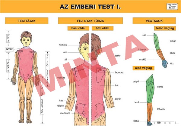 távolítsa el a test paraziták véleményét)