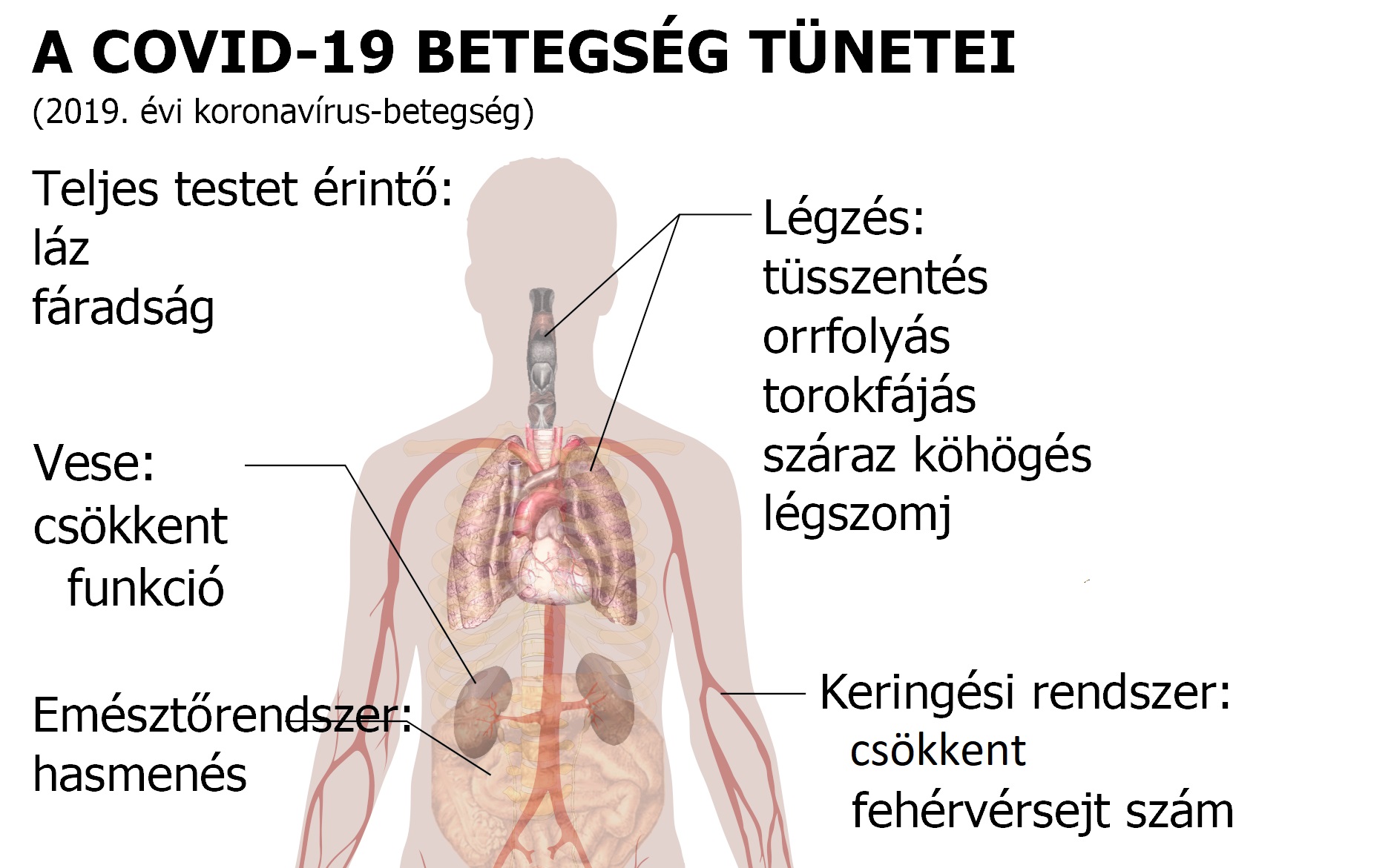 Az enterobiosis kipirul Enterobiasis hogyan kell kezelni gyógyszeres vélemények nélkül