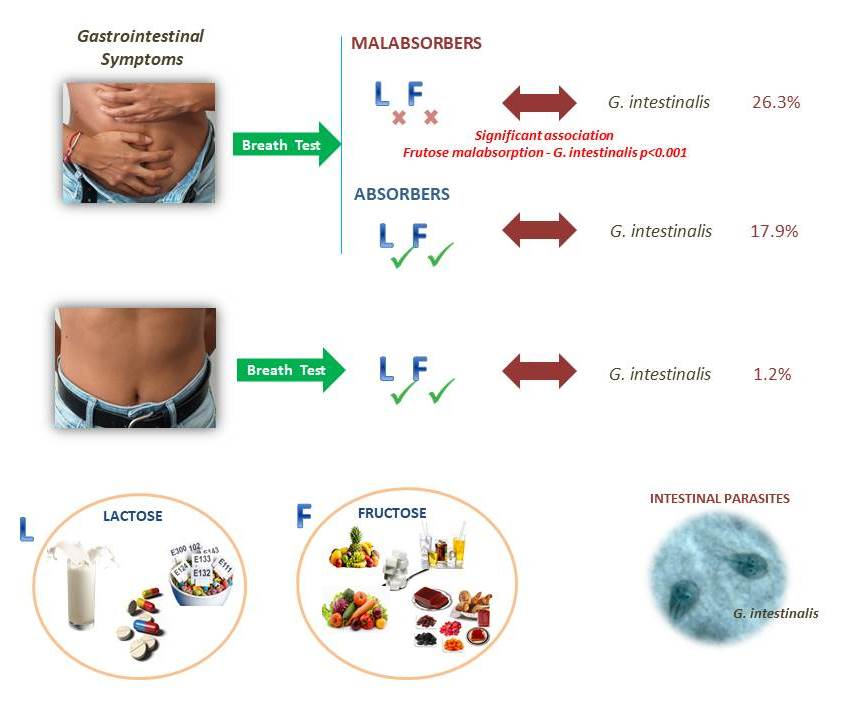 Giardia vitamin deficiency, Navigációs menü