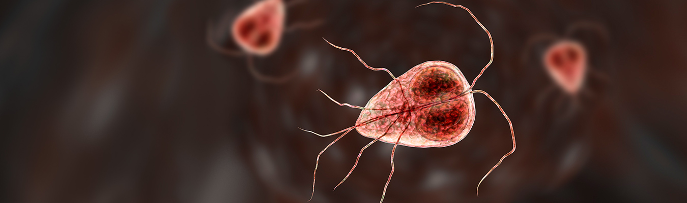 giardia water bőrne disease)