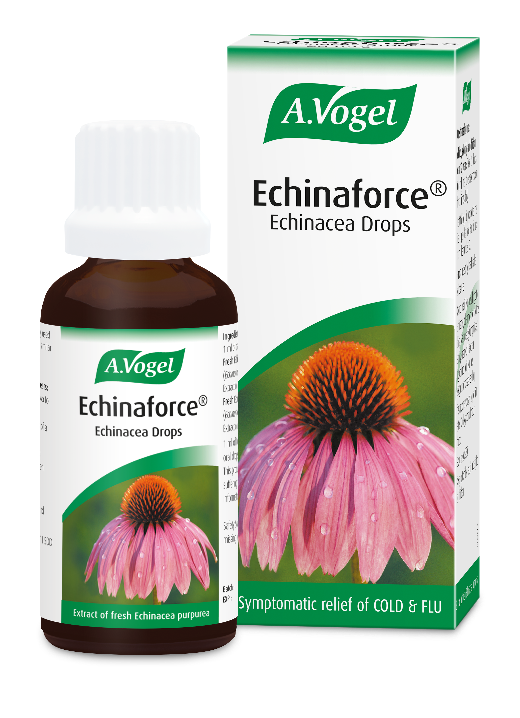 az echinacea eltávolítja a parazitákat férgek patológus