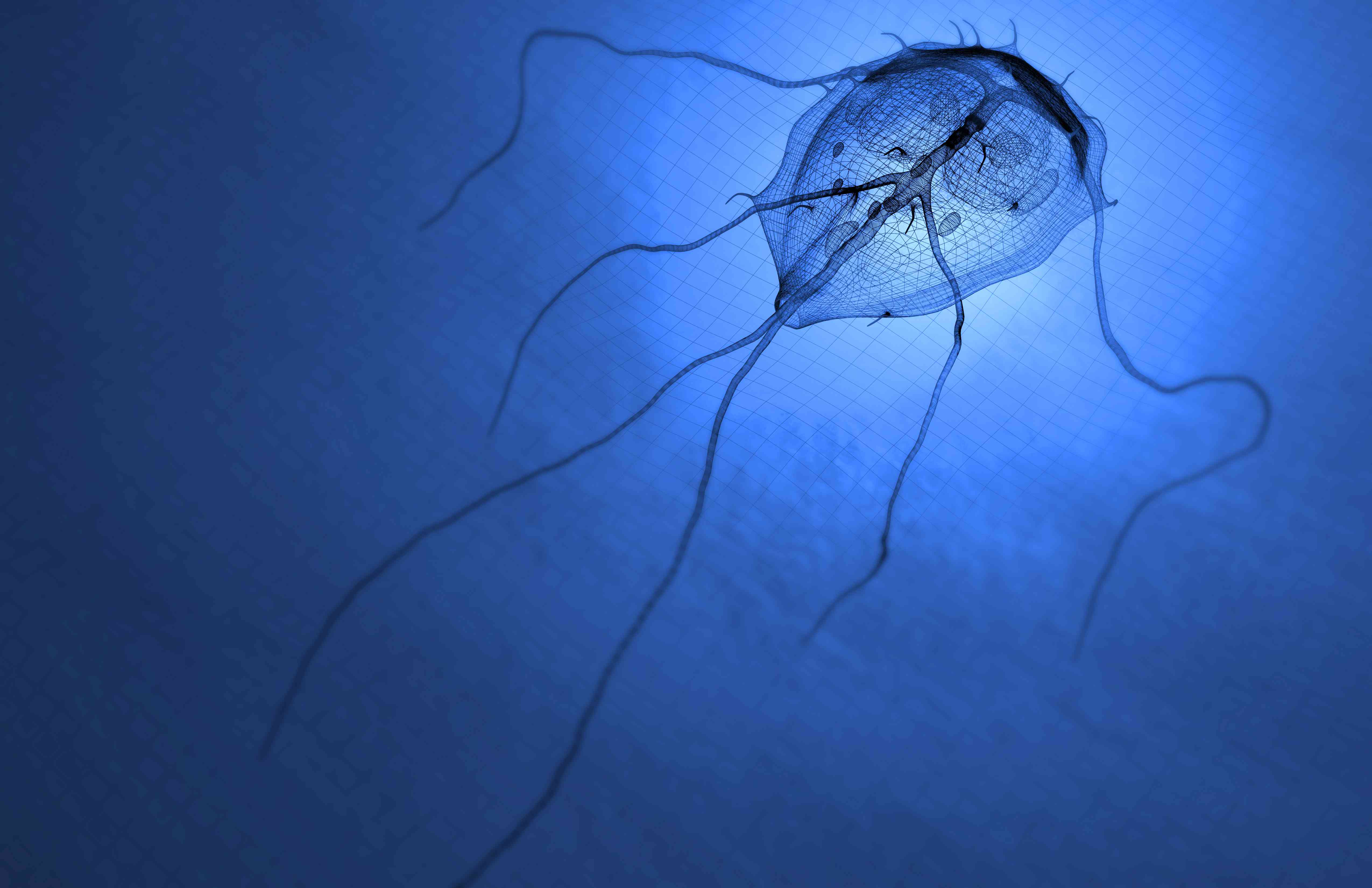 Cryptosporidium and giardia symptoms - Giardiasis tünetei és kezelése - HáziPatika