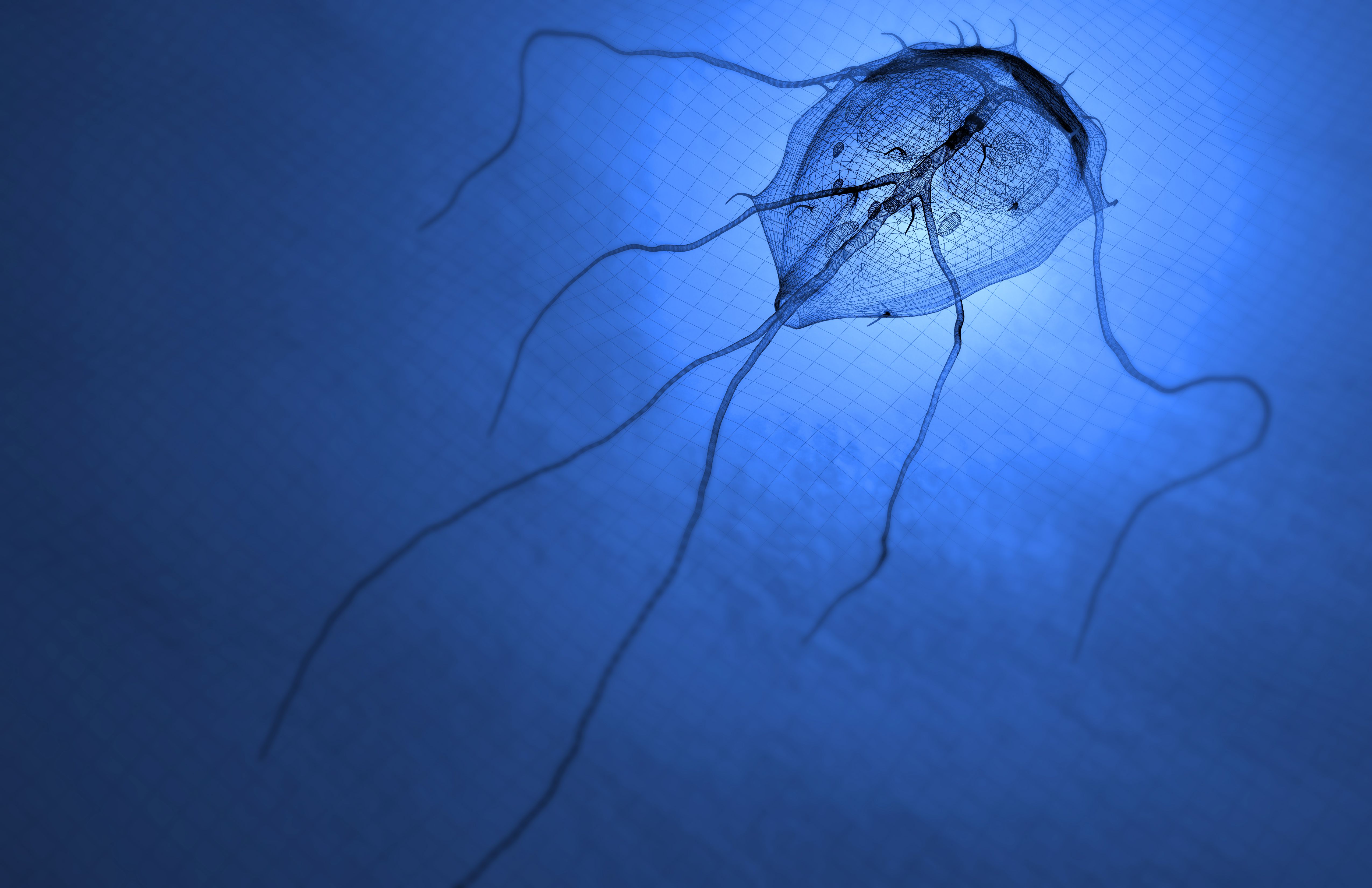 Malakhov Gennadi Giardia kezelés - Giardiasis untreated