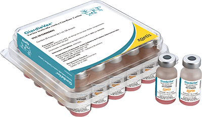 giardiavax quantas doses