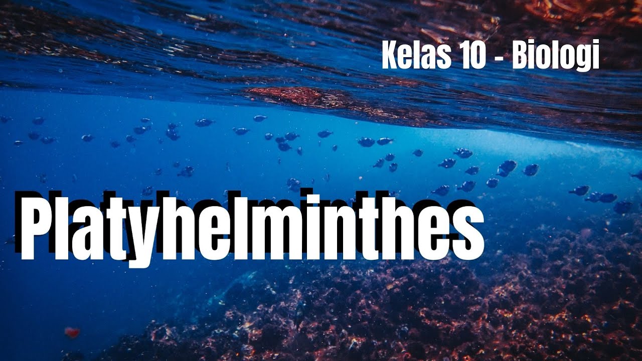 a pinworm kezelés során