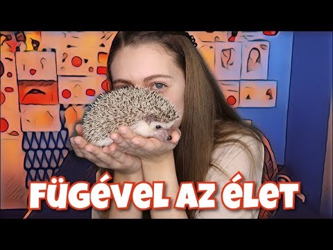 hogyan kell kezelni egy sünd parazitáktól)
