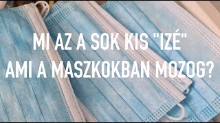 paraziták cseppjei nano Ascaris reproduktív rendszer