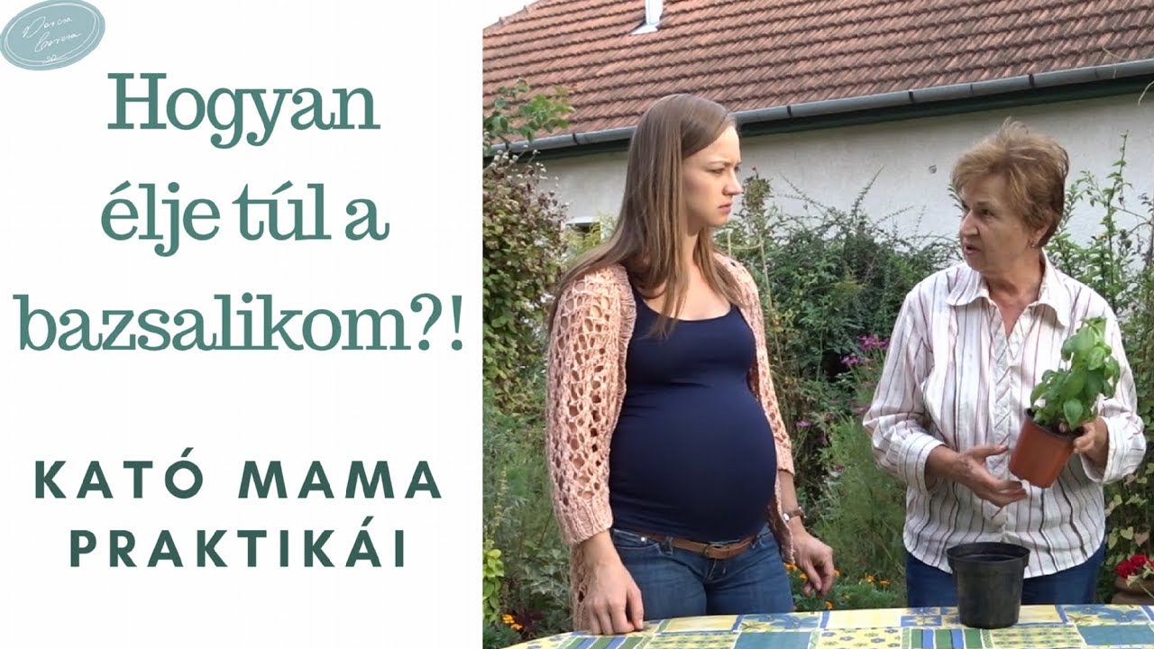 gyógynövények a paraziták bazsalikom)