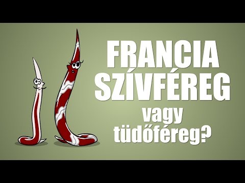 rektális paraziták
