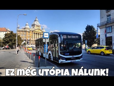 paraziták a szöcskében)