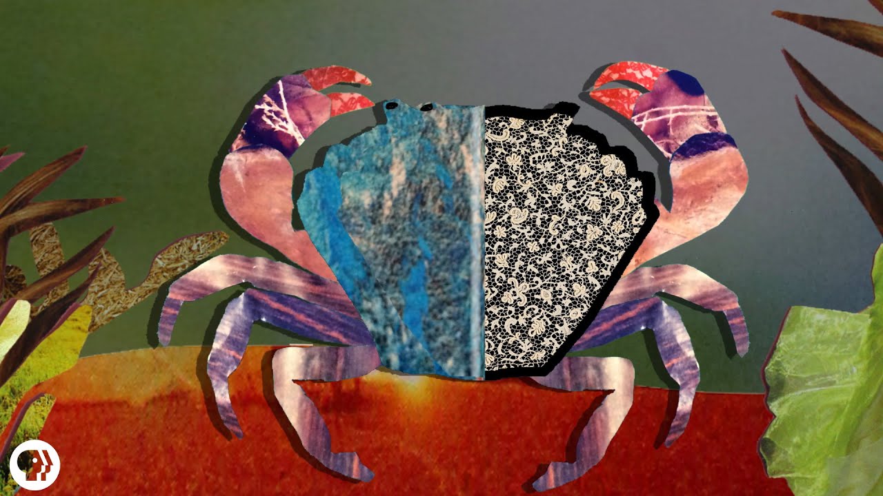 Koccanásos baleset