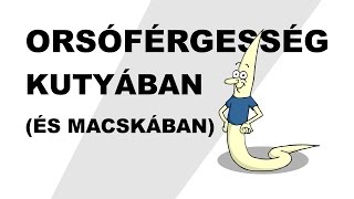 hogyan lehet férgeket kezelni felnőttkorban
