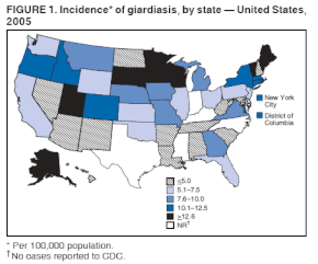 giardiasis szemek