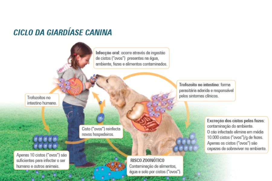 o que e giardia em cachorro
