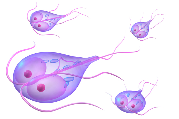 Giardiasis
