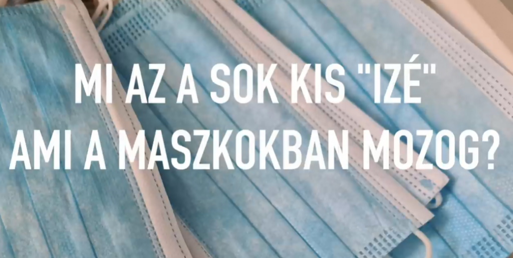 Parazitákról szóló hírek